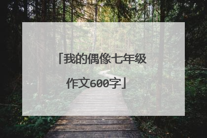 我的偶像七年级作文600字