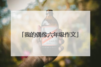 我的偶像六年级作文