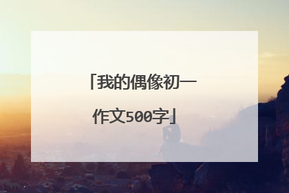 我的偶像初一作文500字