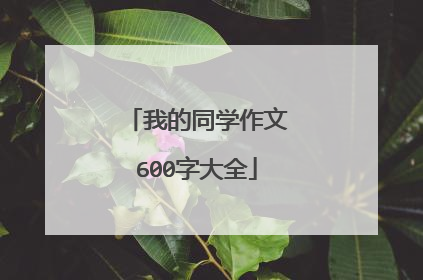 我的同学作文600字大全