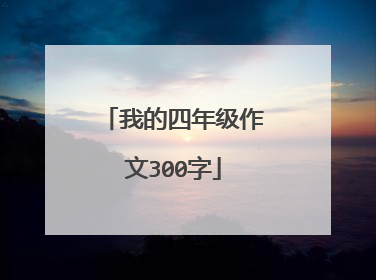 我的四年级作文300字