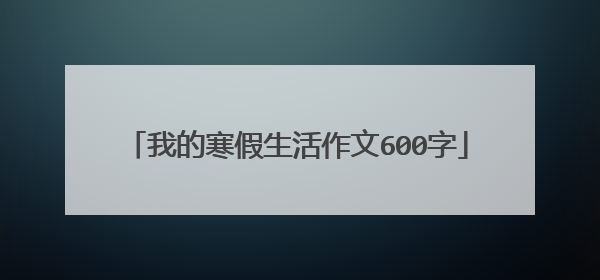 我的寒假生活作文600字