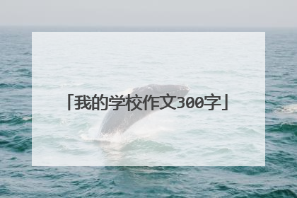 我的学校作文300字