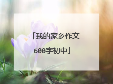 我的家乡作文600字初中