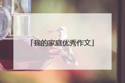 我的家庭优秀作文