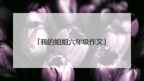 我的姐姐六年级作文