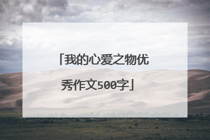 我的心爱之物优秀作文500字