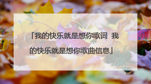 我的快乐就是想你歌词 我的快乐就是想你歌曲信息