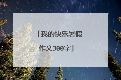 我的快乐暑假作文300字