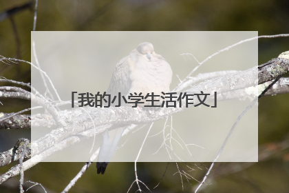 我的小学生活作文