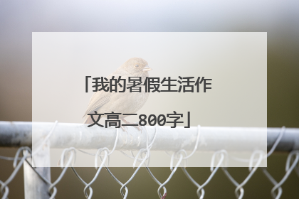 我的暑假生活作文高二800字