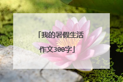 我的暑假生活作文300字