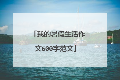 我的暑假生活作文600字范文