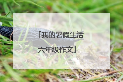 我的暑假生活六年级作文