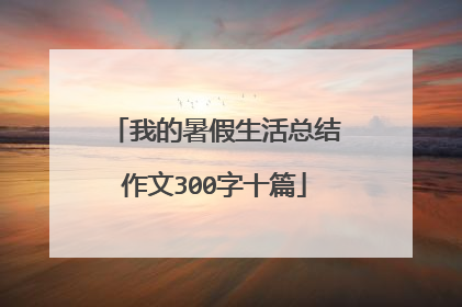 我的暑假生活总结作文300字十篇