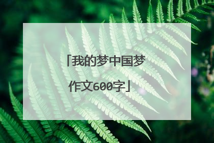 我的梦中国梦作文600字