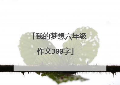 我的梦想六年级作文300字