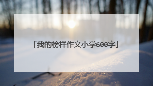 我的榜样作文小学600字