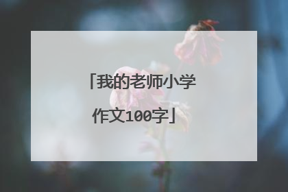 我的老师小学作文100字