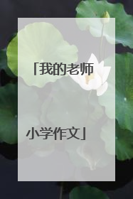 我的老师小学作文