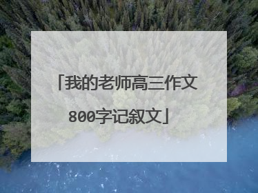 我的老师高三作文800字记叙文