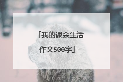 我的课余生活作文500字