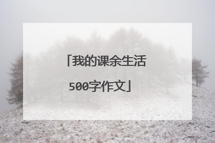 我的课余生活500字作文