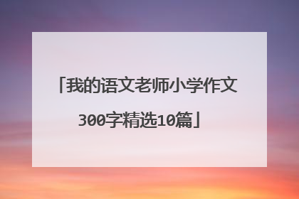 我的语文老师小学作文300字精选10篇