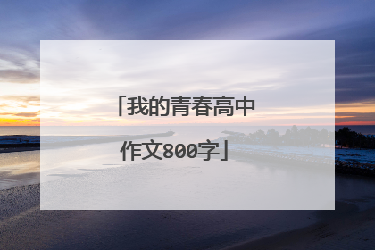 我的青春高中作文800字