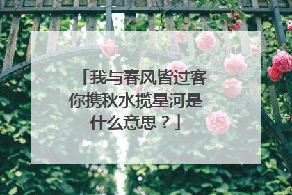 我与春风皆过客你携秋水揽星河是什么意思？