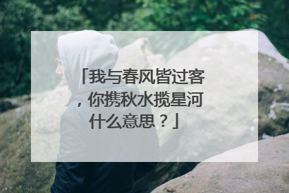 我与春风皆过客，你携秋水揽星河什么意思？