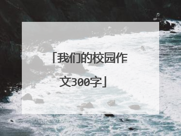 我们的校园作文300字