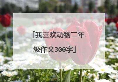 我喜欢动物二年级作文300字