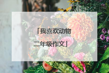 我喜欢动物二年级作文