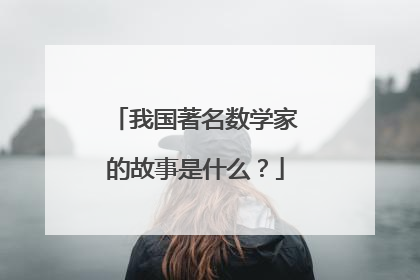 我国著名数学家的故事是什么？