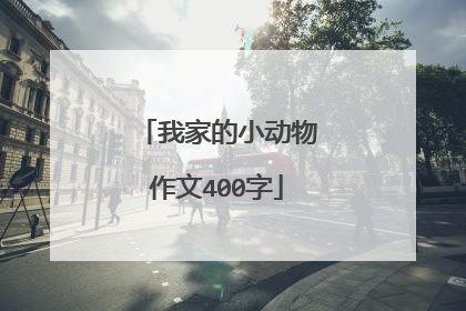 我家的小动物作文400字