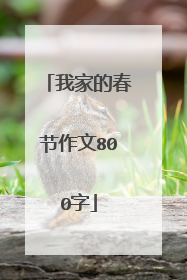 我家的春节作文800字