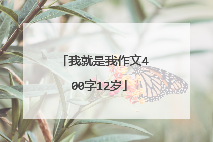 我就是我作文400字12岁