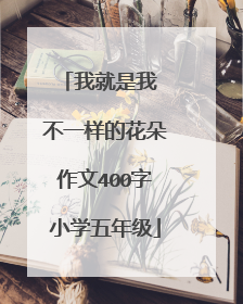 我就是我 不一样的花朵作文400字小学五年级