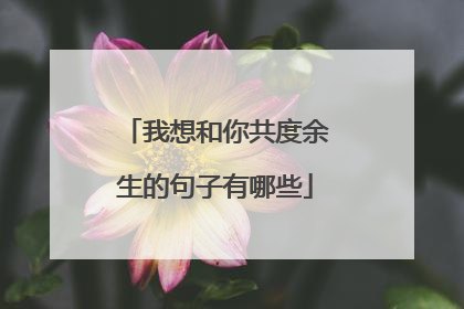 我想和你共度余生的句子有哪些