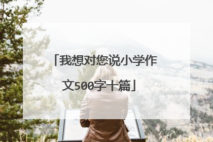 我想对您说小学作文500字十篇