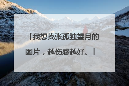 我想找张孤独望月的图片,越伤感越好。