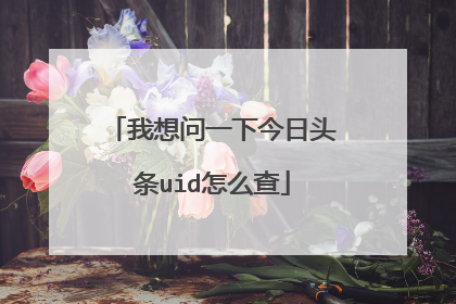 我想问一下今日头条uid怎么查