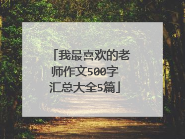 我最喜欢的老师作文500字汇总大全5篇