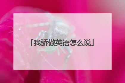 我骄傲英语怎么说