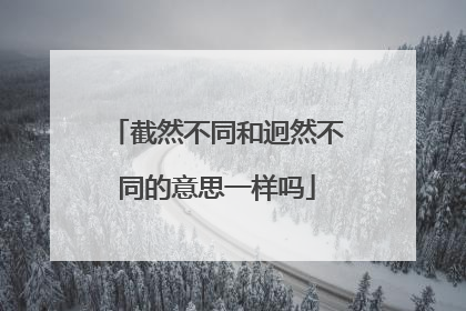 截然不同和迥然不同的意思一样吗