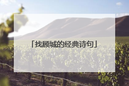 找顾城的经典诗句