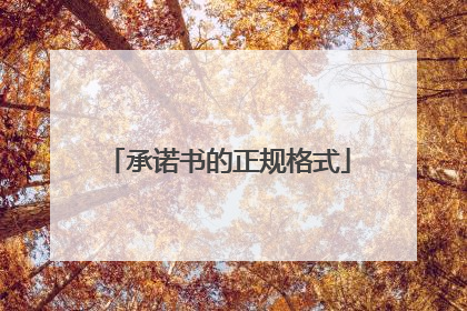 承诺书的正规格式