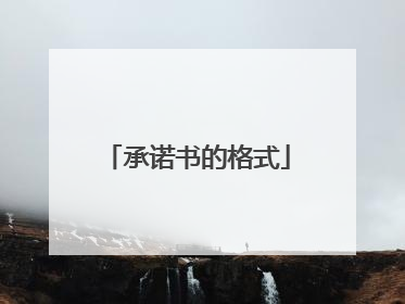 承诺书的格式