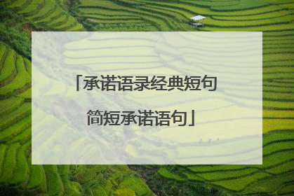 承诺语录经典短句 简短承诺语句